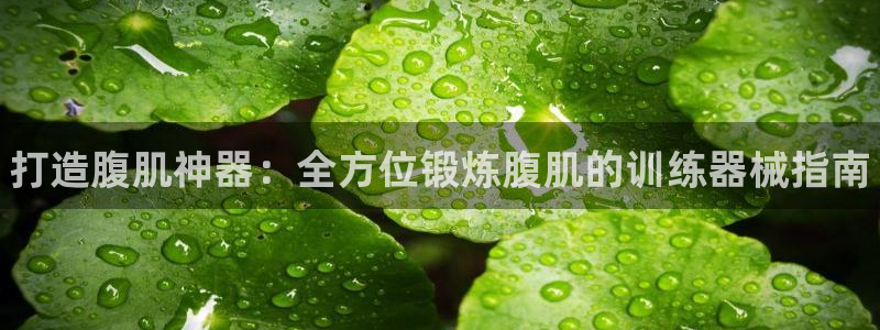 凯时网址多少:打造腹肌神器:全方位锻炼腹肌的训练器械指南