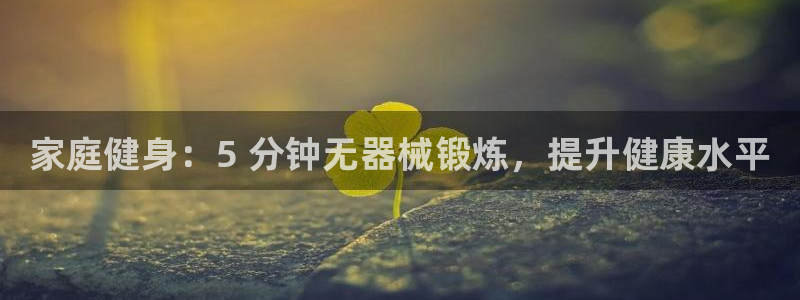 尊龙凯时是直营吗:家庭健身:5 分钟无器械锻炼,提升健康水平